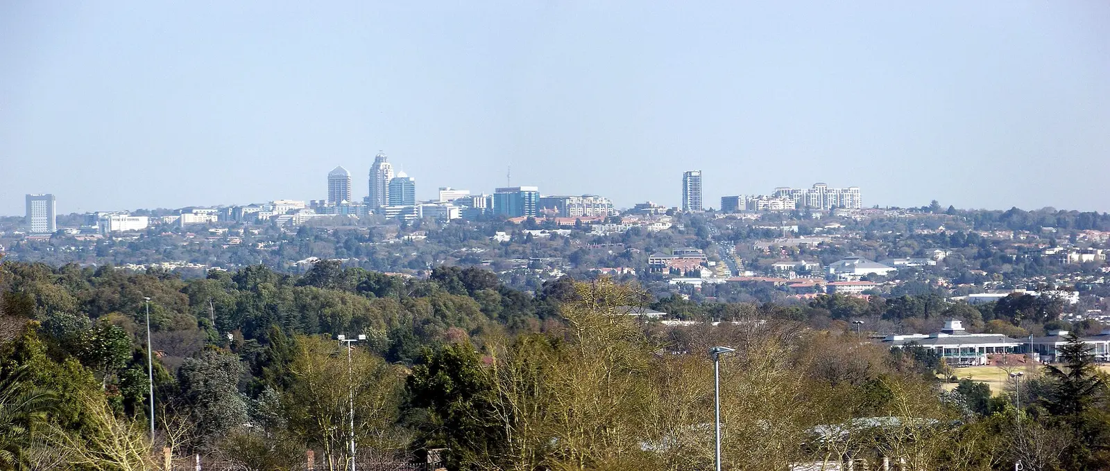 Sandton skyline rising over trees in Johannesburg